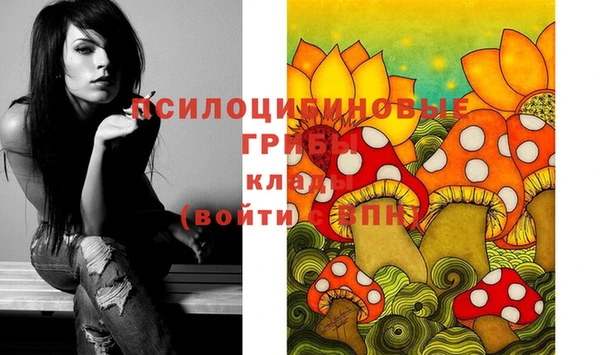спиды Волосово